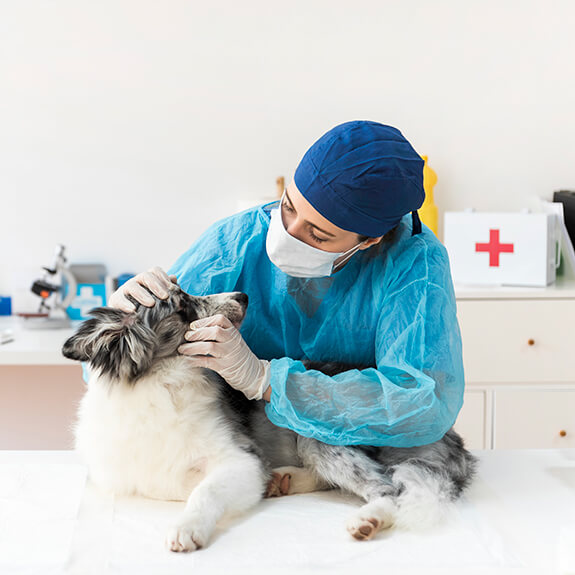 Medical Consultation